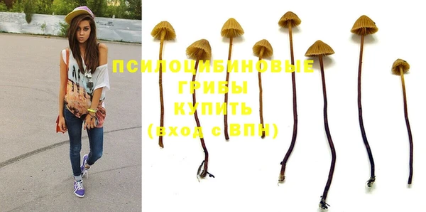 PSILOCYBIN Баксан