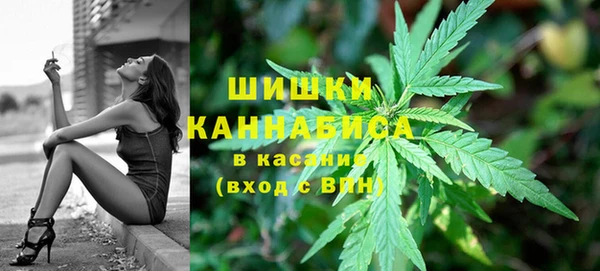 PSILOCYBIN Баксан