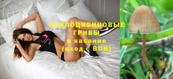 PSILOCYBIN Баксан