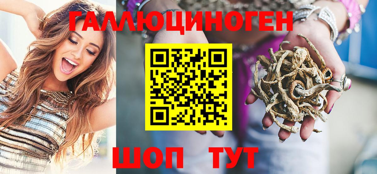 Псилоцибиновые грибы Psilocybine cubensis Балтийск