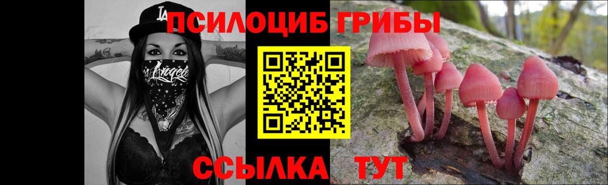 Галлюциногенные грибы прущие грибы  дарнет шоп  Балтийск  Вход с VPN 